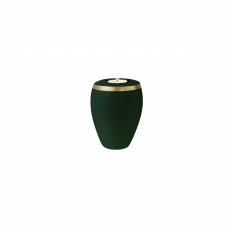 OMEGA Memory jade gold