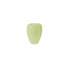 OMEGA Memory limone