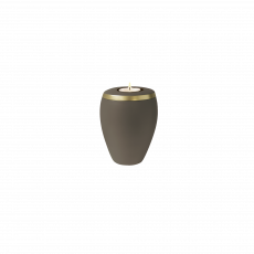 OMEGA Memory teak gold