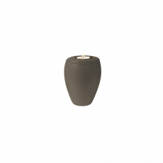 OMEGA Memory teak