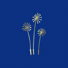 PUSTEBLUME Memory Dekor gold