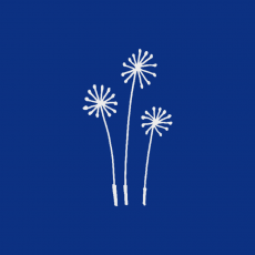 PUSTEBLUME Memory Dekor lichtgrau