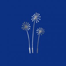 PUSTEBLUME Memory Dekor silber