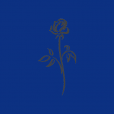 ROSE Memory Dekor anthrazit