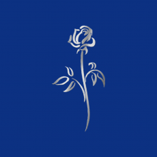 ROSE Memory Dekor silber