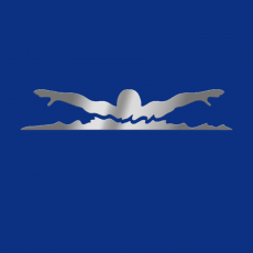 SCHWIMMEN Memory Dekor silber