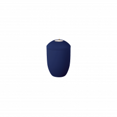 WAVE Memory saphir