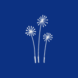 PUSTEBLUME Memory Dekor lichtgrau